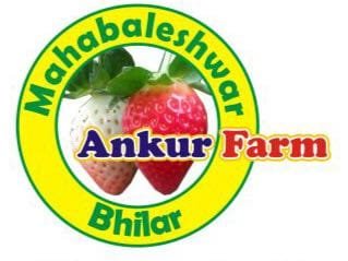 Ankur